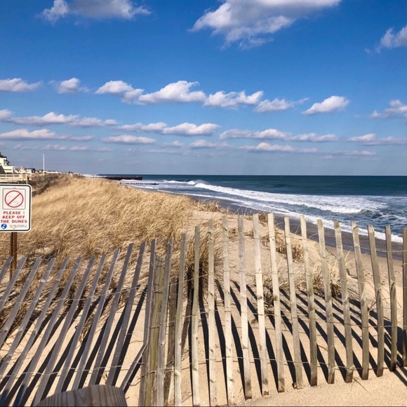 Meet your Posher, Veronica - Picture 2 of 8